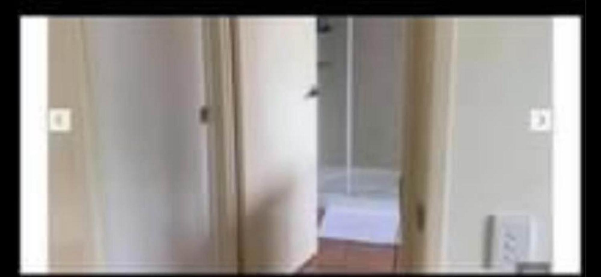 Home Away From Home Praia Peregian Exterior foto